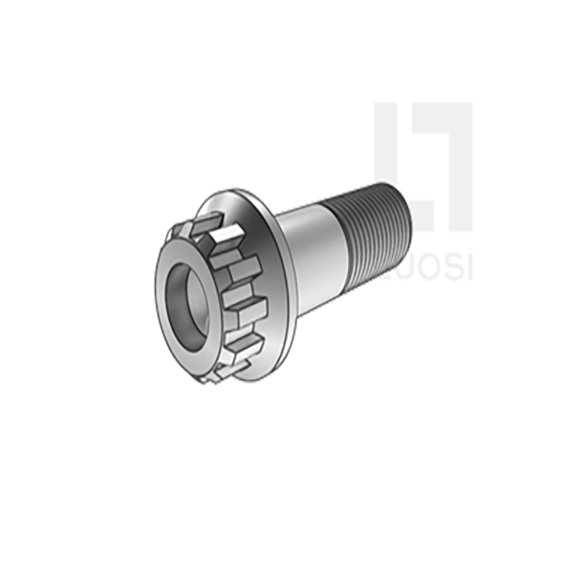 XII dentes Splent BOLTS cum LABIUM