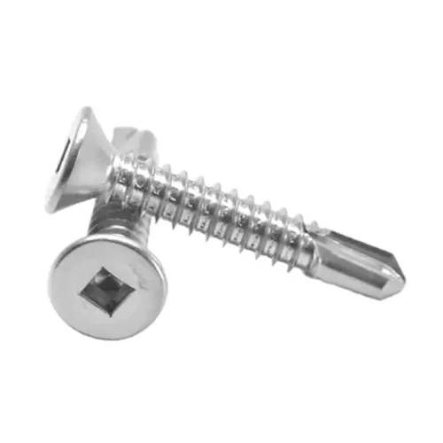 AB dentium quadratum recessed countersunk caput percussoque Cochleas