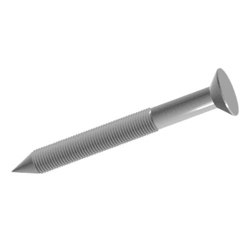 Annulari Ringed clavis