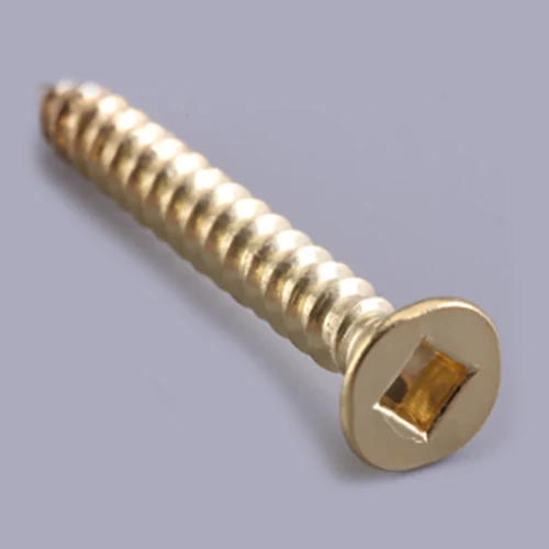 B quadratum recessed countersunk caput percussoque cochlea
