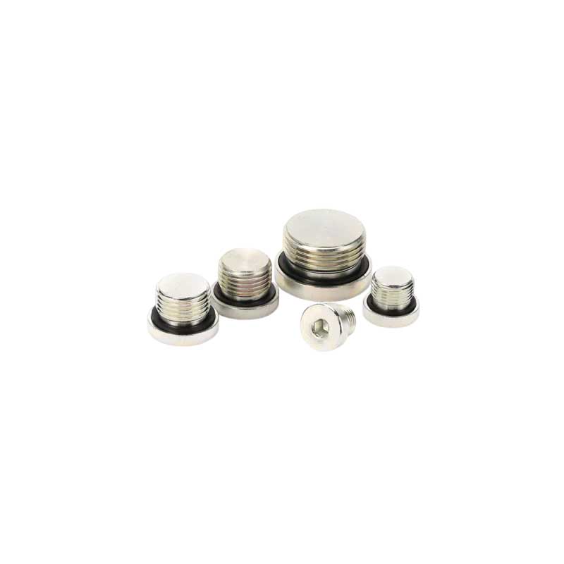 BSP Male Captivum Sigillum Internum Hex Plug