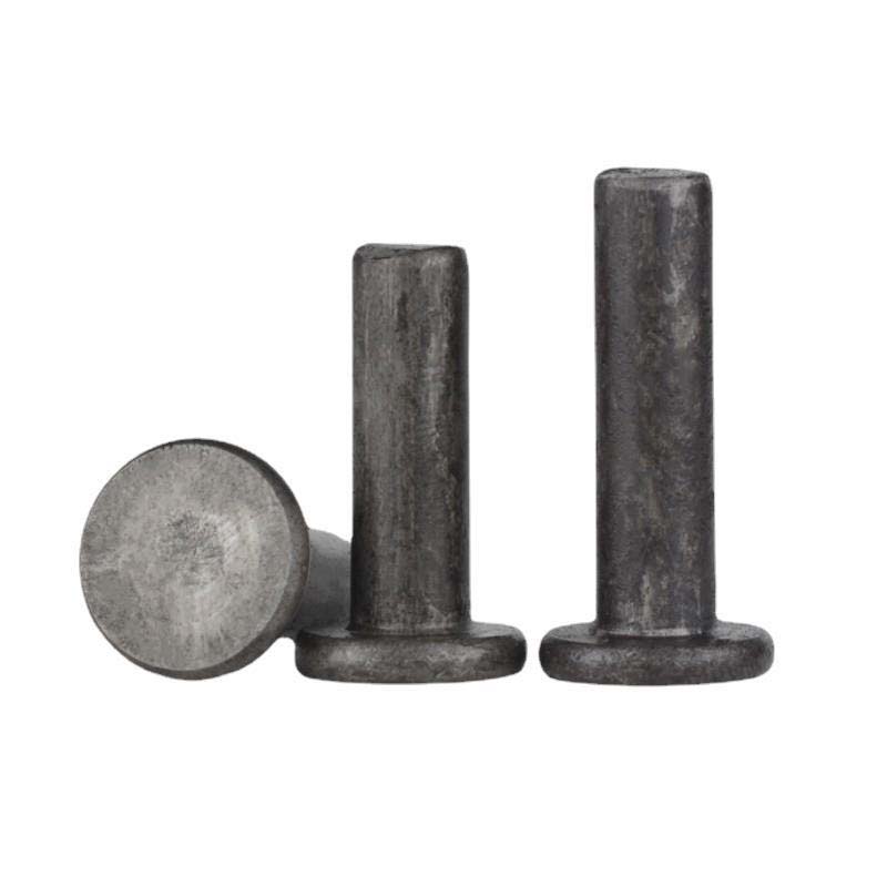 Clevis paxillos capitis