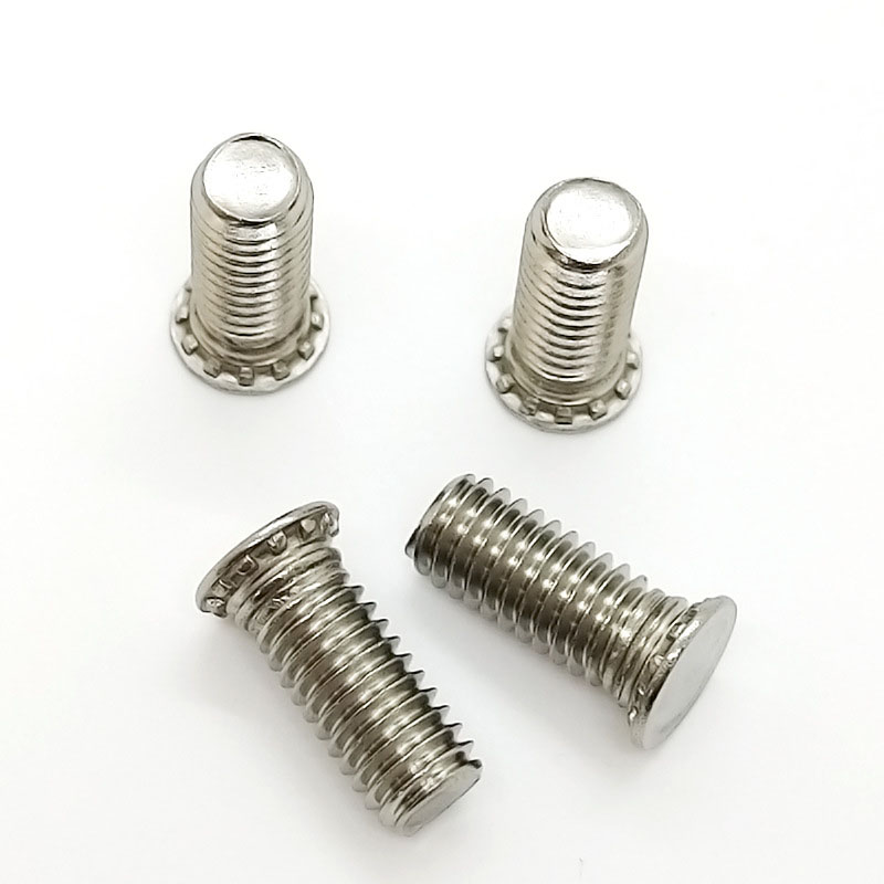 Absconditus caput fila bullae