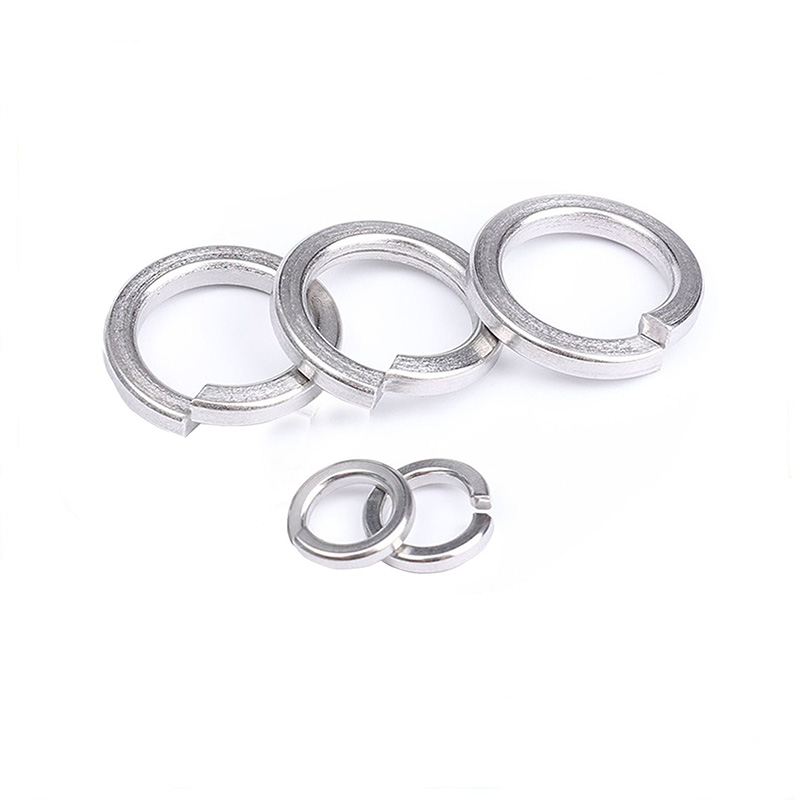 Sumptus Efficens Spring Washers