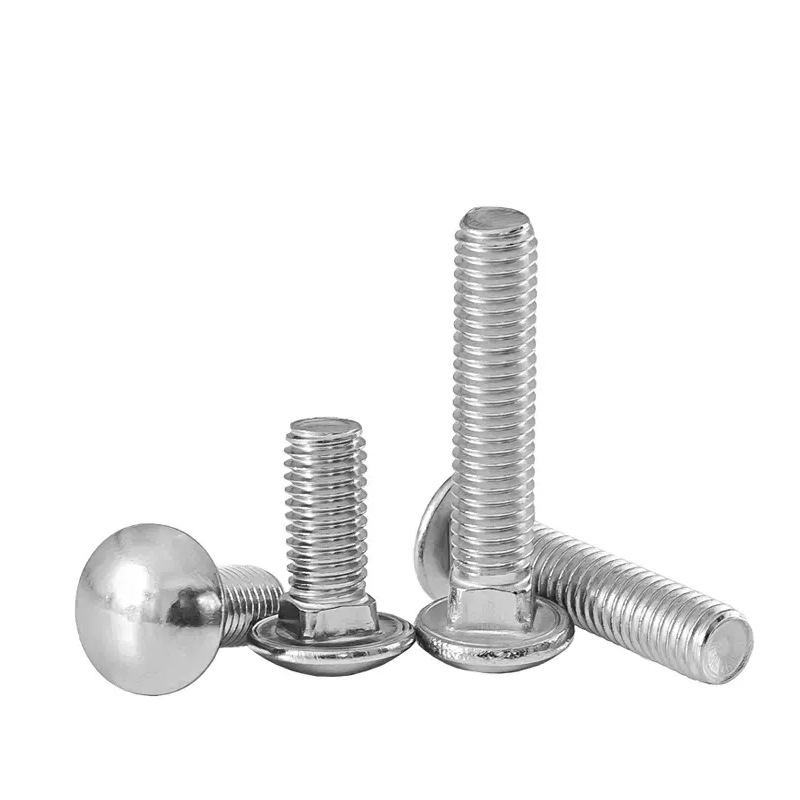 Cup Caput Quadratum collum BOLTS