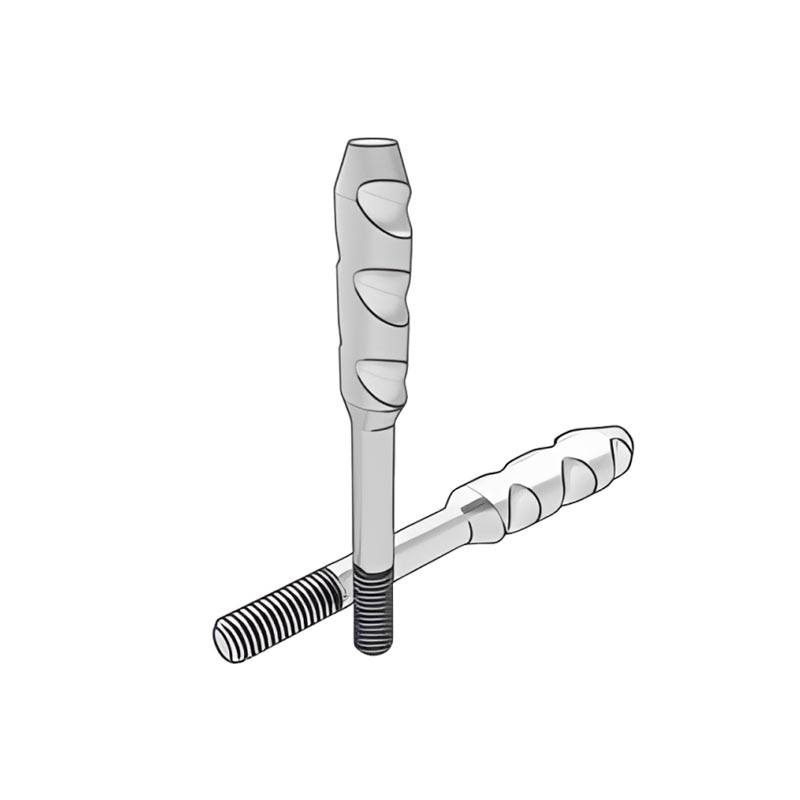 Din529 Type E anchorae Bolts