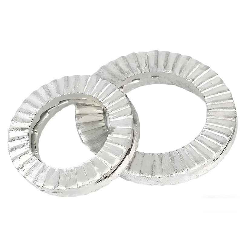 Duplex ovile sui Obfirmo Parvus Washers