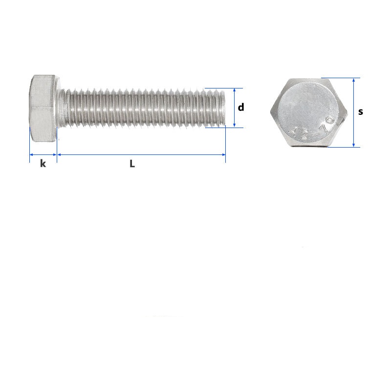 Full filum Hexagon Cochleas