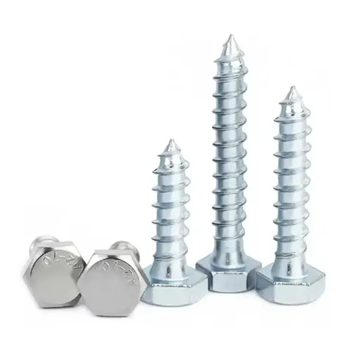HEX Caput Cochleas