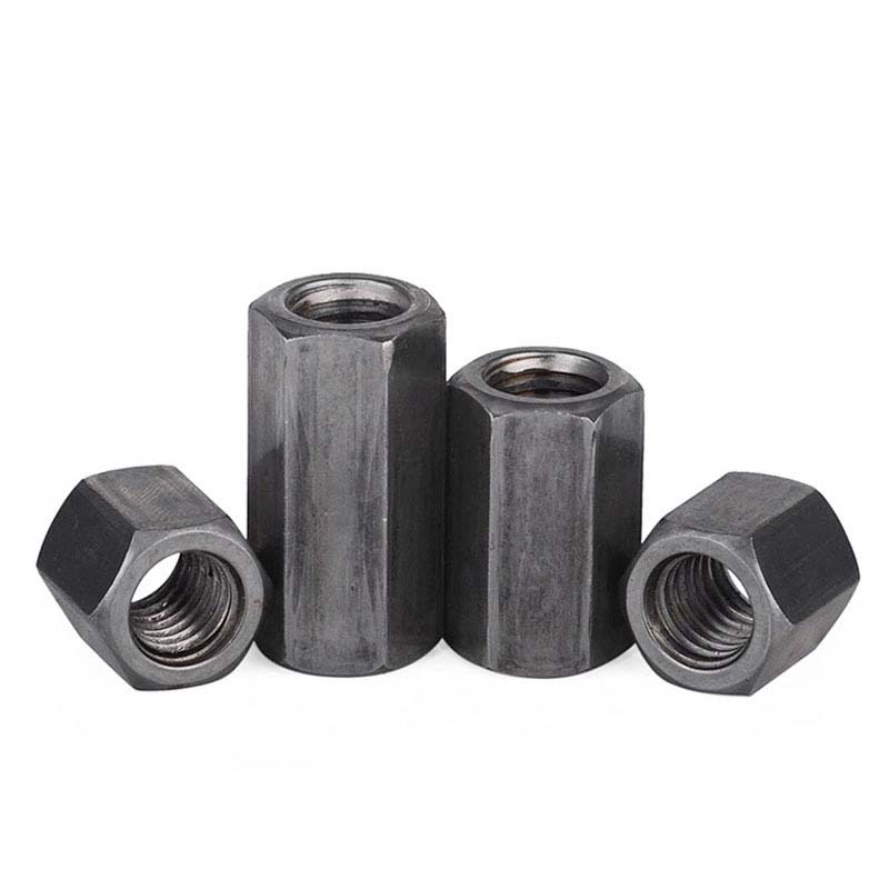 Hexagon densissima nut