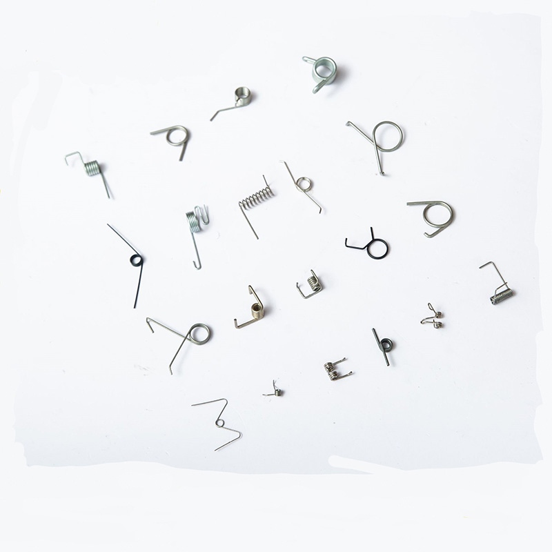 Princeps tensile extendens Spring