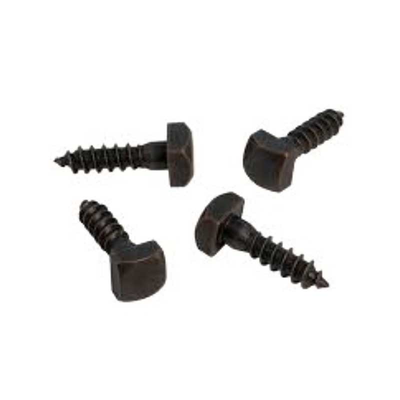 Princeps Torque Square Caput Lag Cochleas