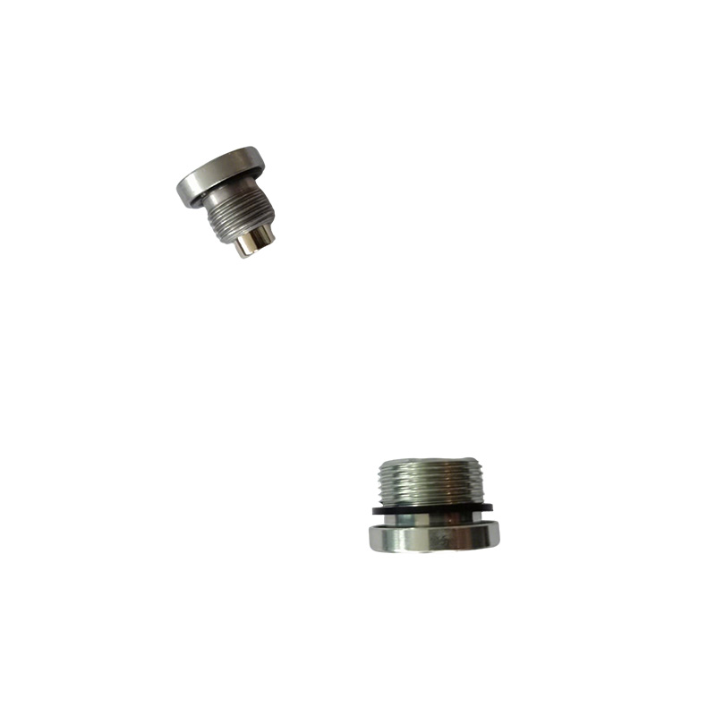 Cavae Hex O Ring Steel Plug