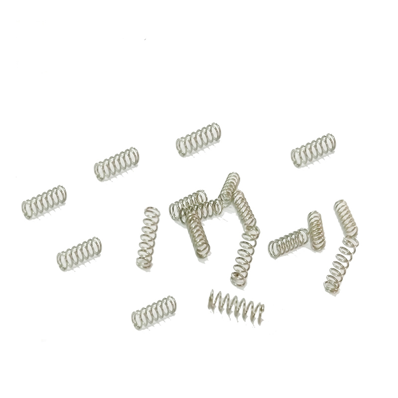 Long revolutio spiralis Spring