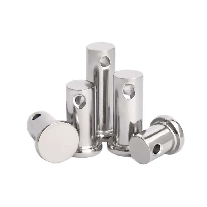 Metric Clevis paxillos capitis