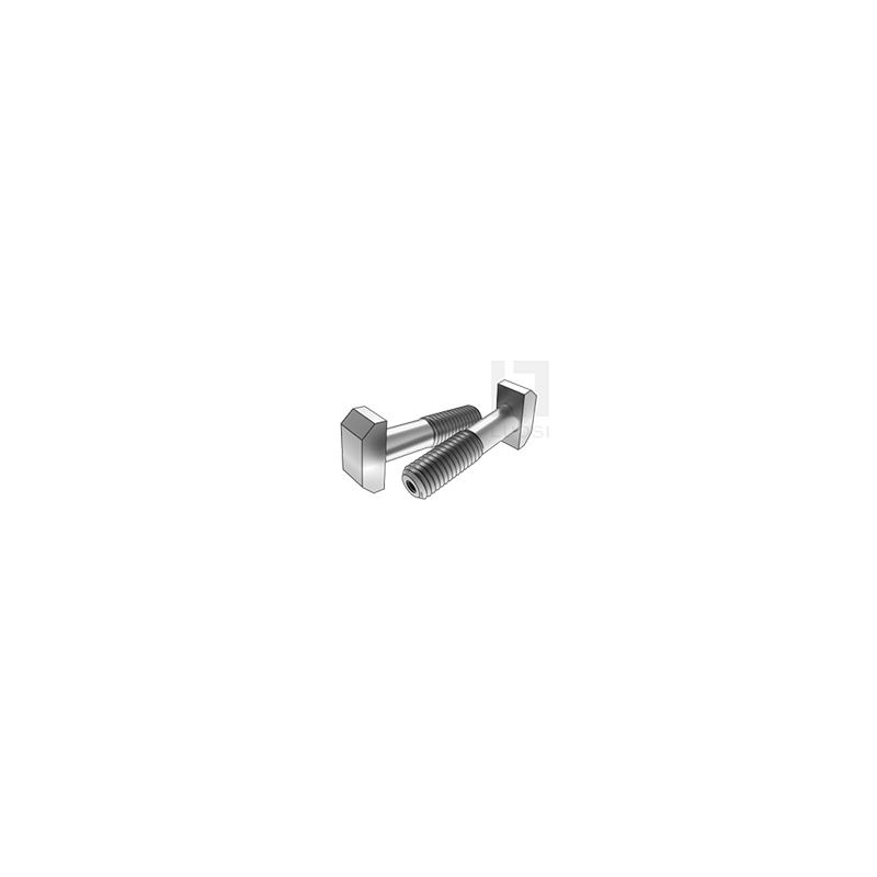 Reducitur Shank T Bolt foraminis