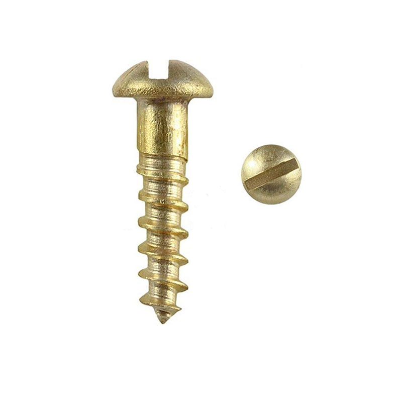 Circum caput Slotted Wood Cochleas Silicon Aes