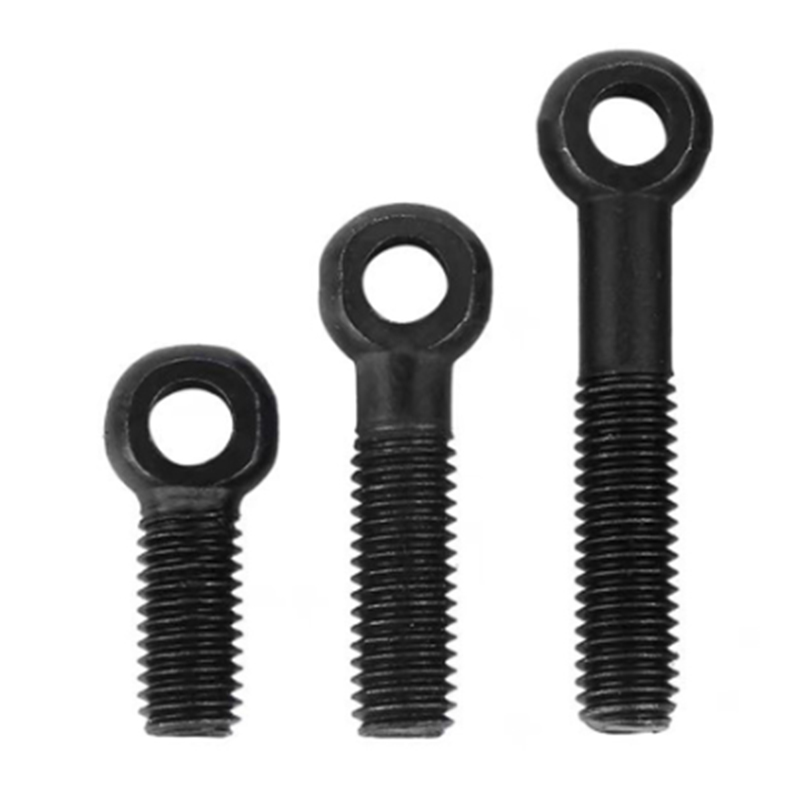 Cocleis eyebolt