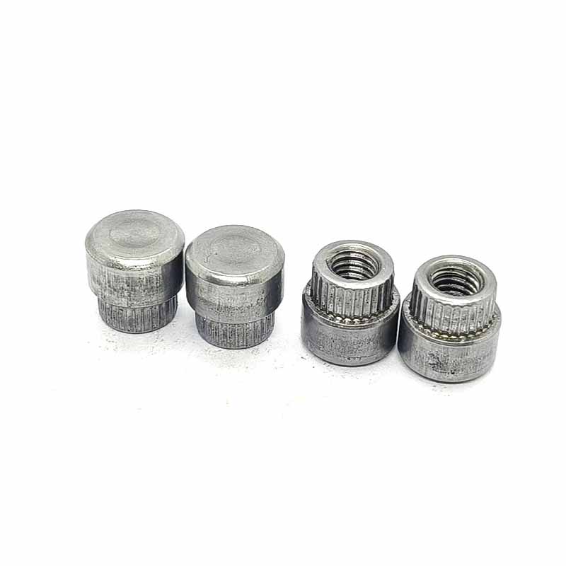 Sui clinching circum Rivet Bush