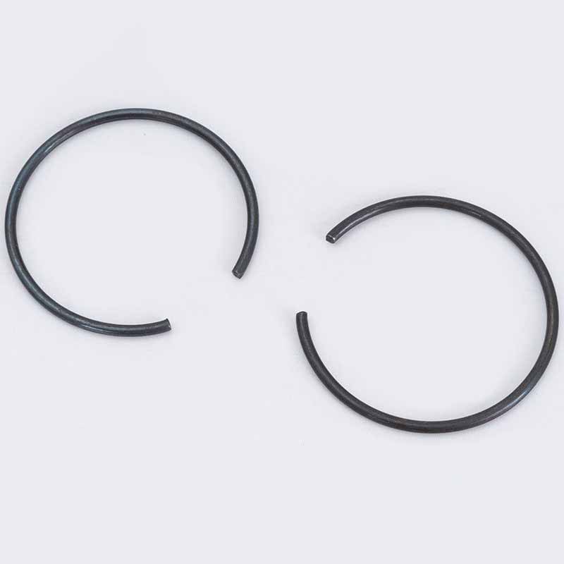 Snap Annulus enim