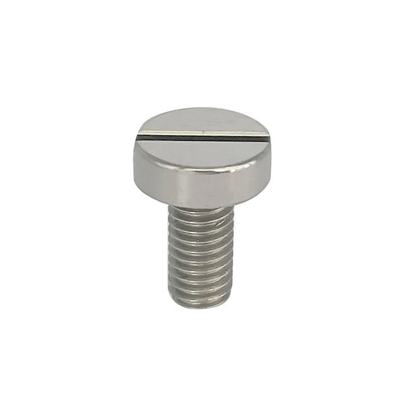 Latin Slotted caput Cochleas