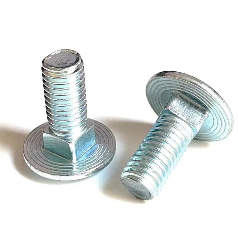 Steel quadratum collum circum caput seras