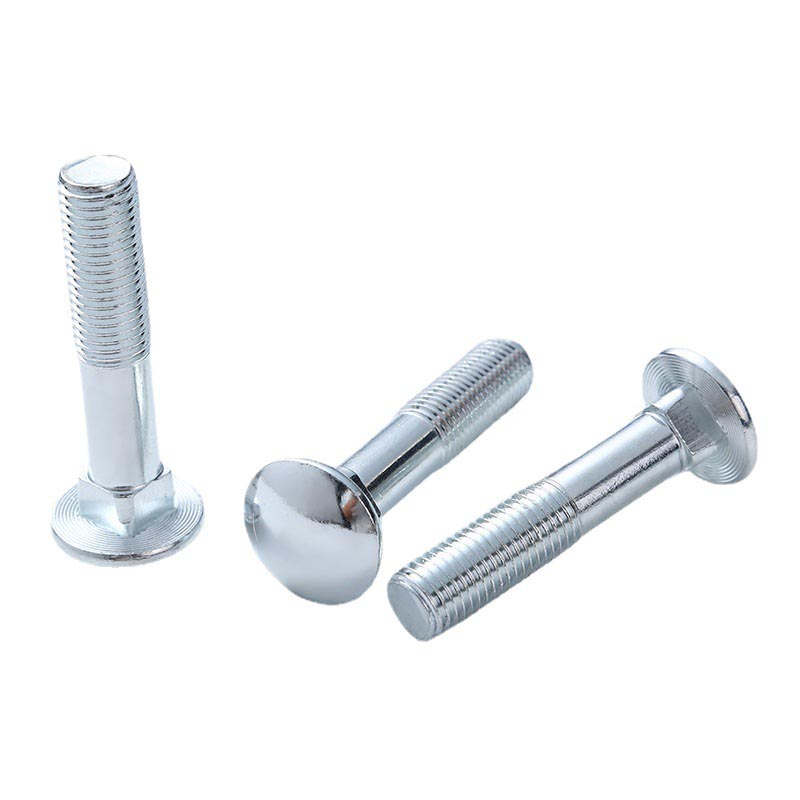 Confortatos Cup Caput Quadratum collum Bolts