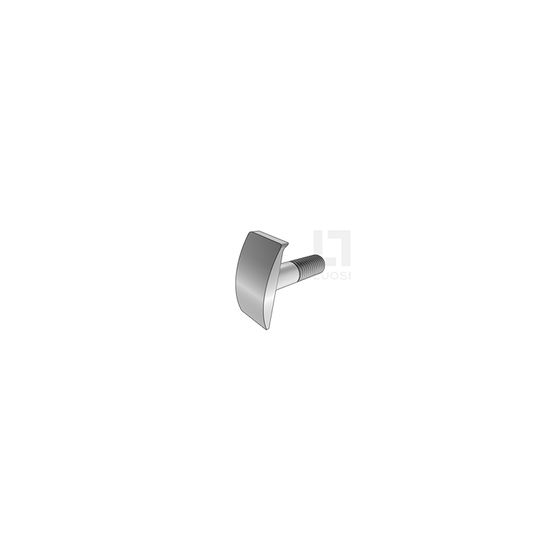 T Caput Anchoram screw