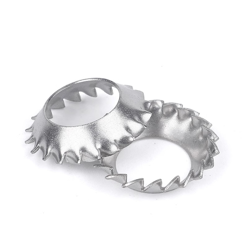 Dentatis Lok washers Cum Countersunk