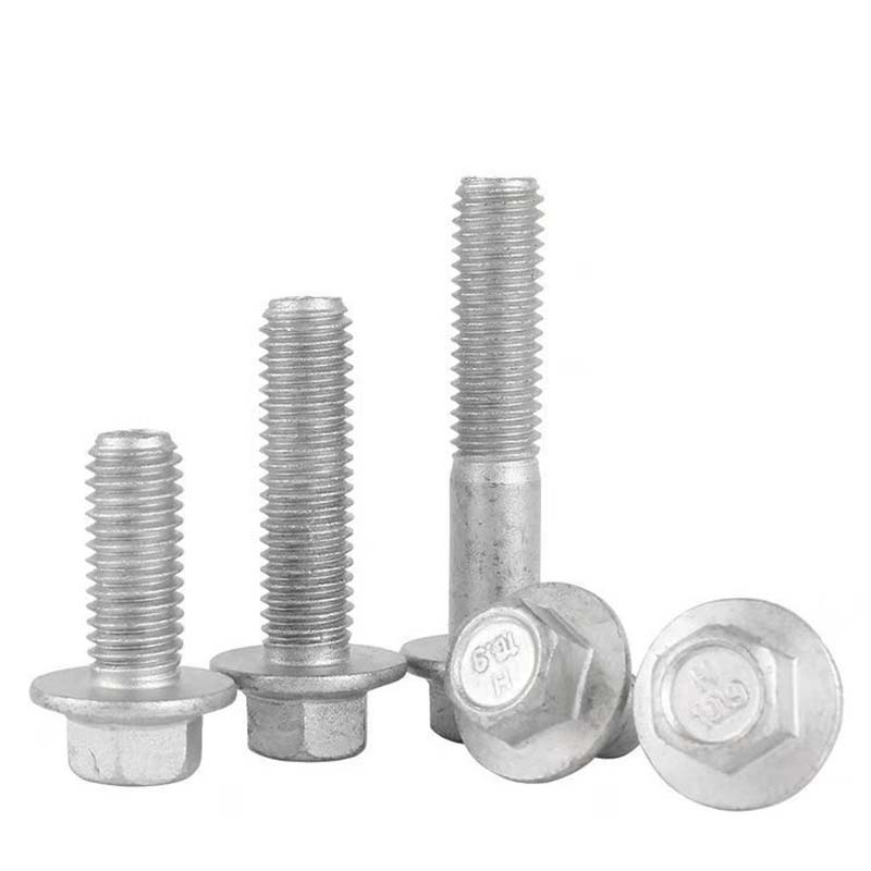 Typus B magna Hexagon capitis LABIUM BOLLS