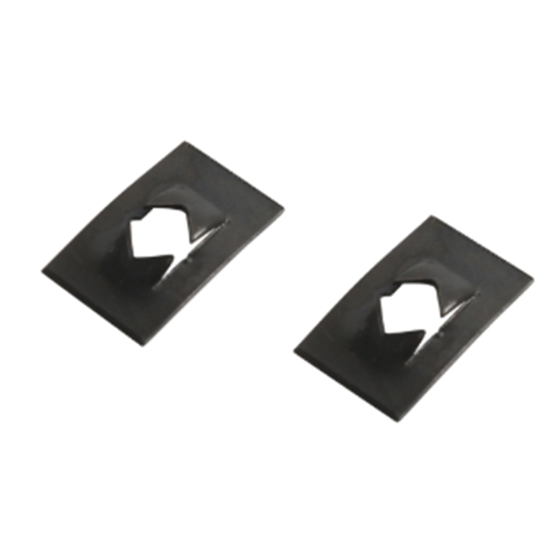 Typus C laminam vere nuces