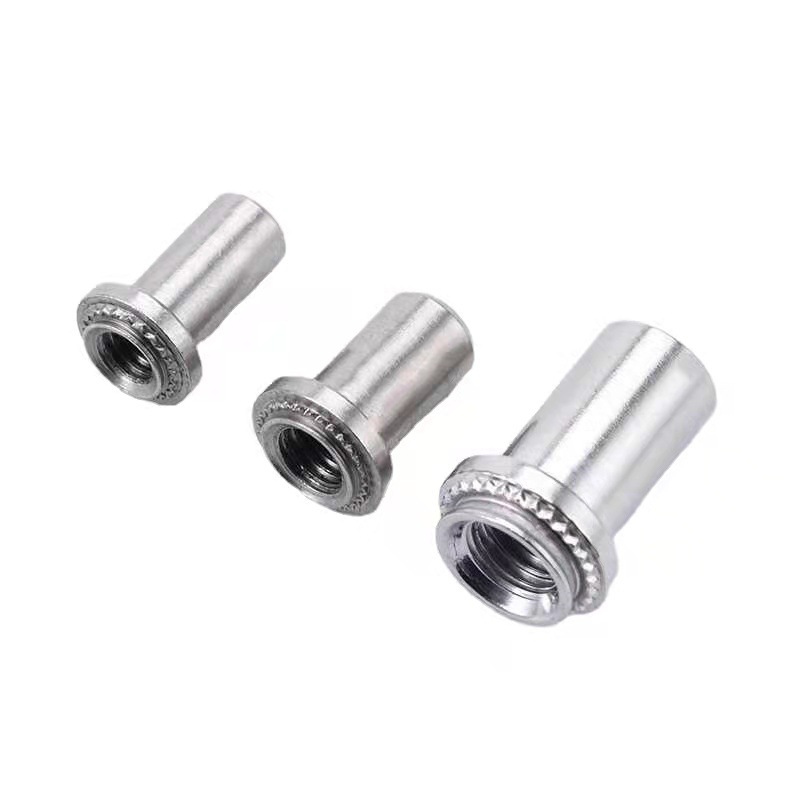 Un immaculatam ferro signantes clinching nut