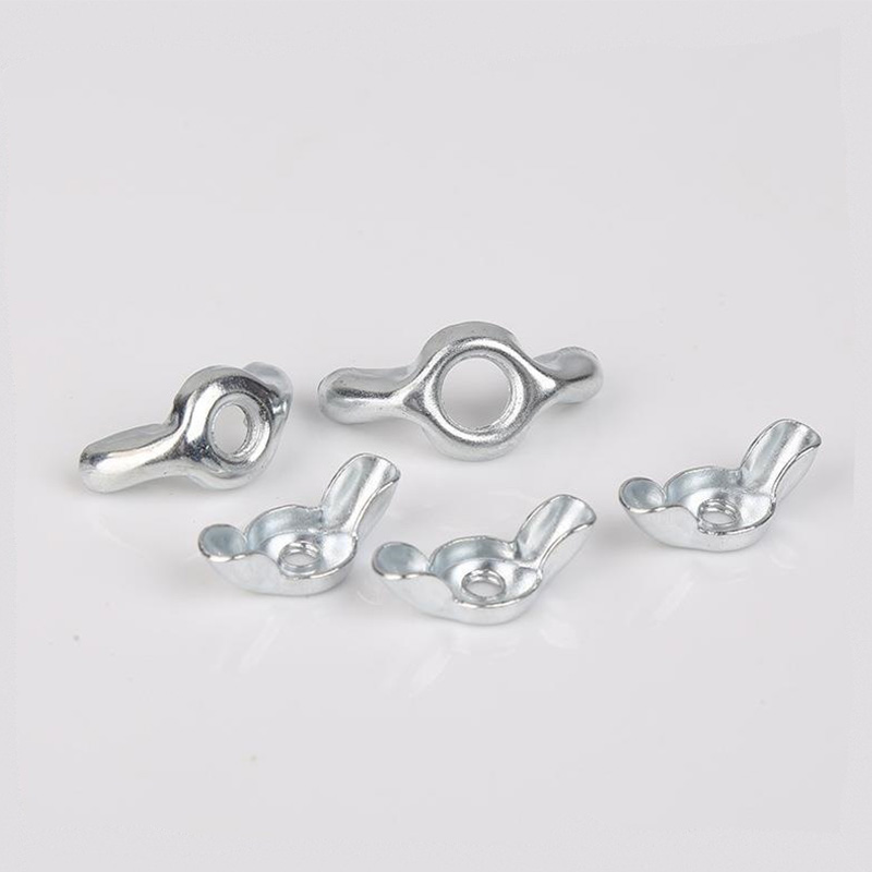 Wing Nut aures rotundae